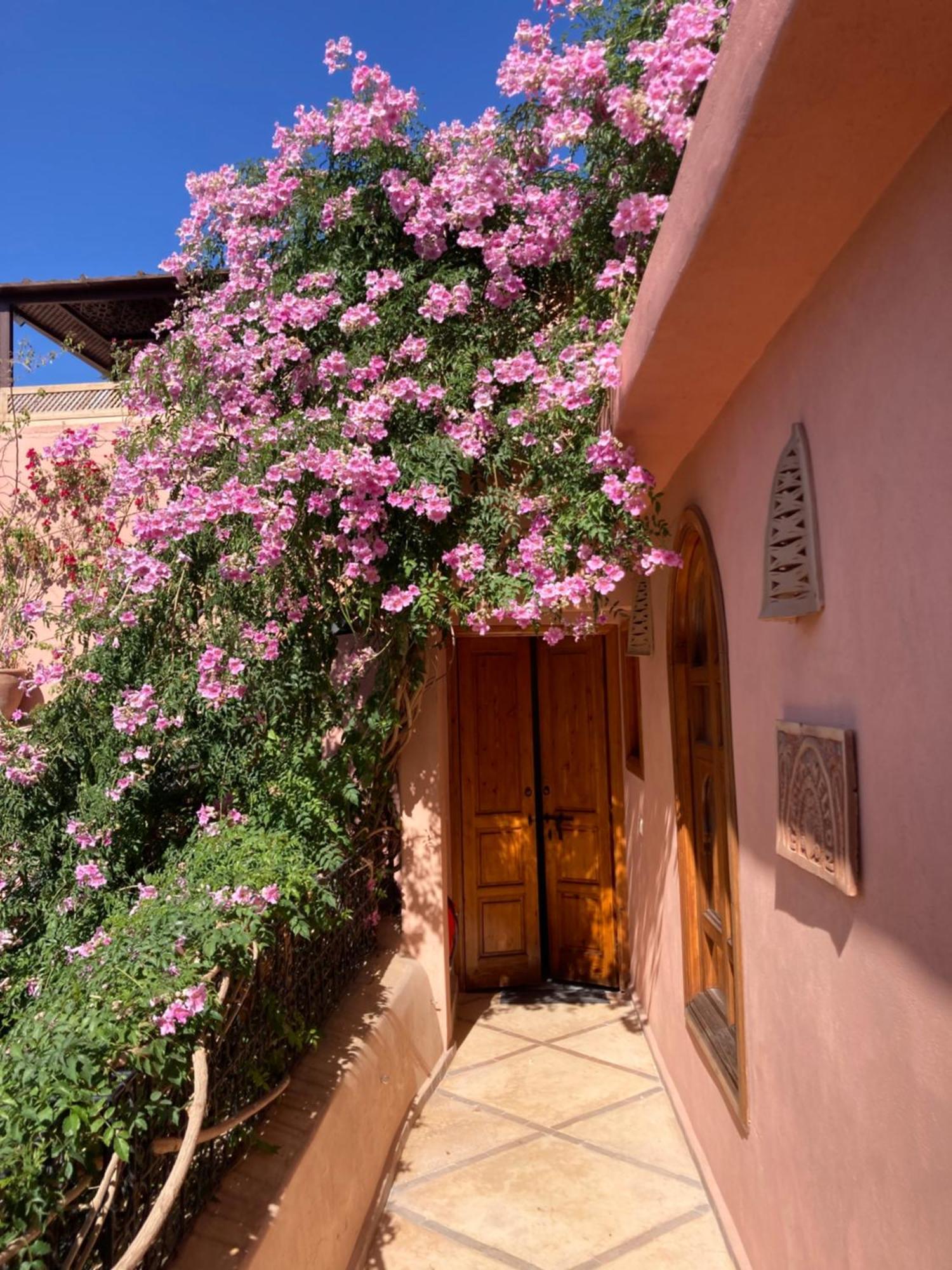 Riad Chameleon Marrakesh Luaran gambar